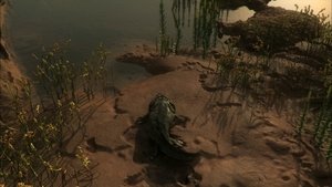 undefined Images